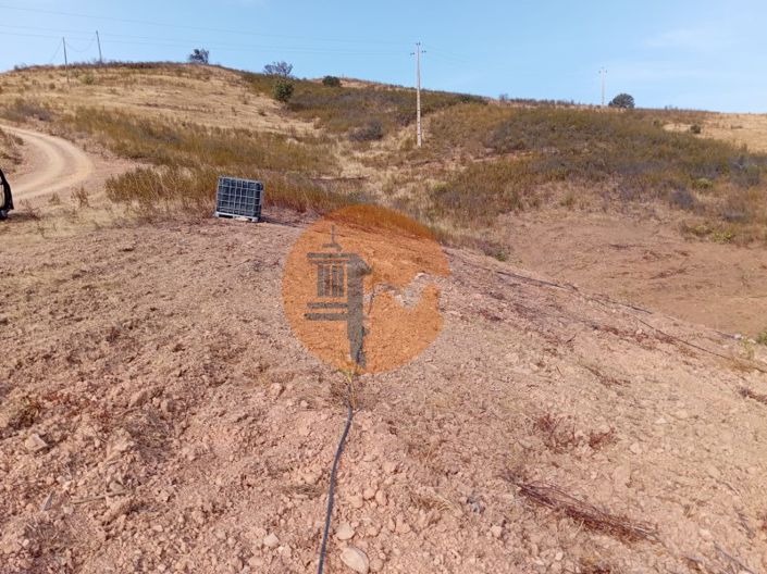 Image No.9-Plot for sale