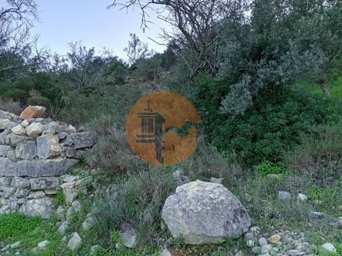 Image No.5-Plot for sale