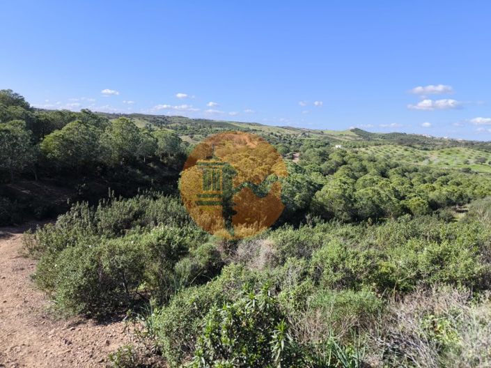 Image No.18-Plot for sale