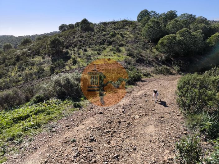 Image No.28-Plot for sale