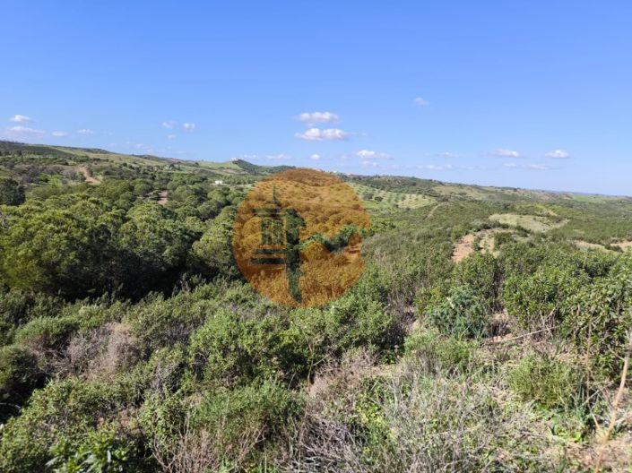 Image No.6-Plot for sale