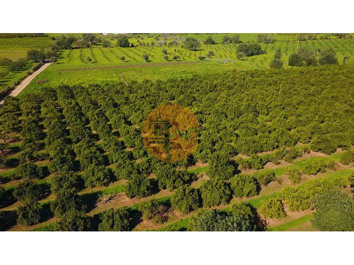 Image No.43-Ferme de 6 chambres à vendre à Tavira