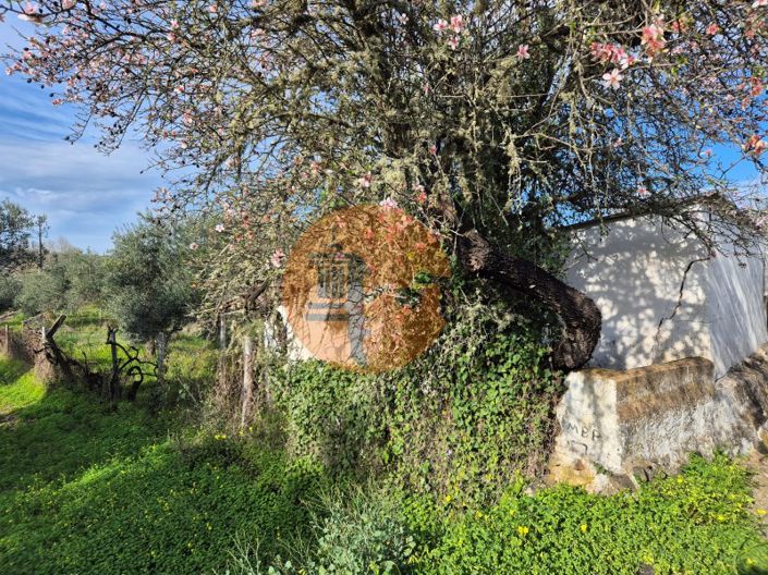 Image No.6-Plot for sale