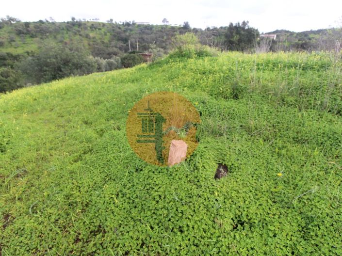 Image No.14-2 Bed Farmhouse for sale