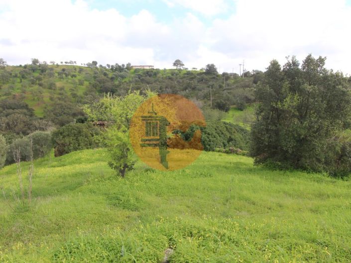 Image No.21-2 Bed Farmhouse for sale