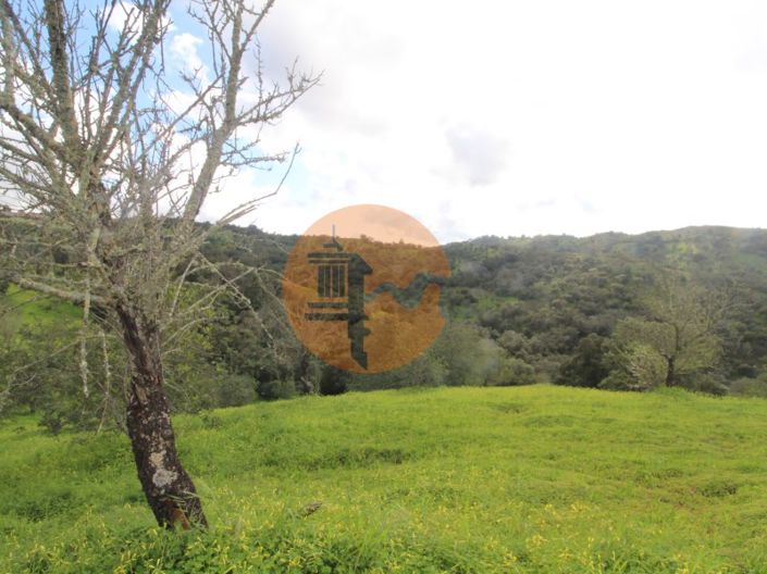 Image No.23-2 Bed Farmhouse for sale