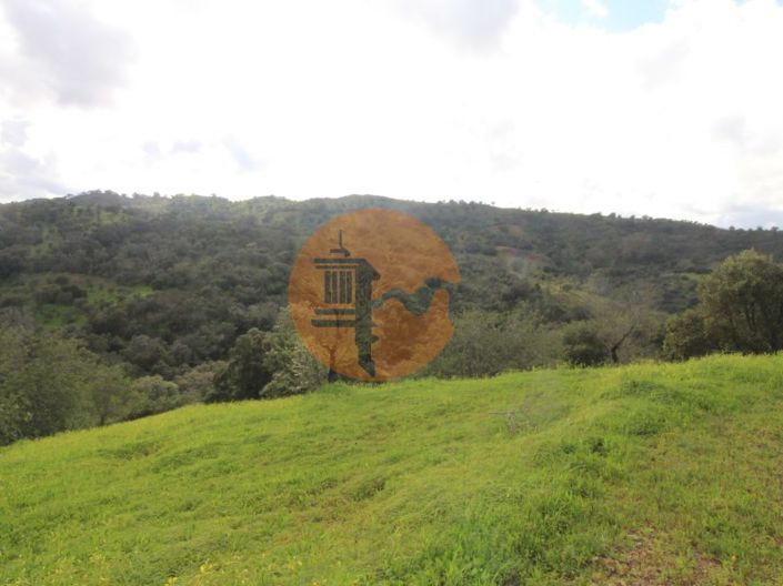 Image No.24-2 Bed Farmhouse for sale