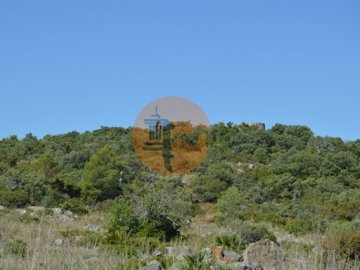 idd8184f01-0000-0500-0000-000010a8a616