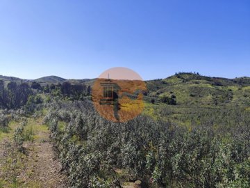 id28679801-0000-0500-0000-00001552ab64