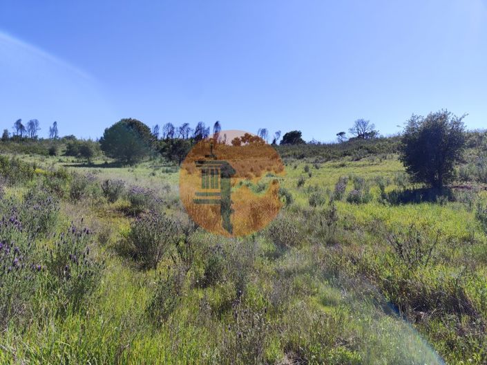 Image No.4-Plot for sale