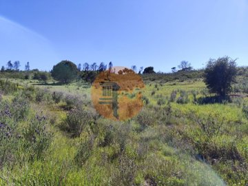 id28679801-0000-0500-0000-00001552ab6b