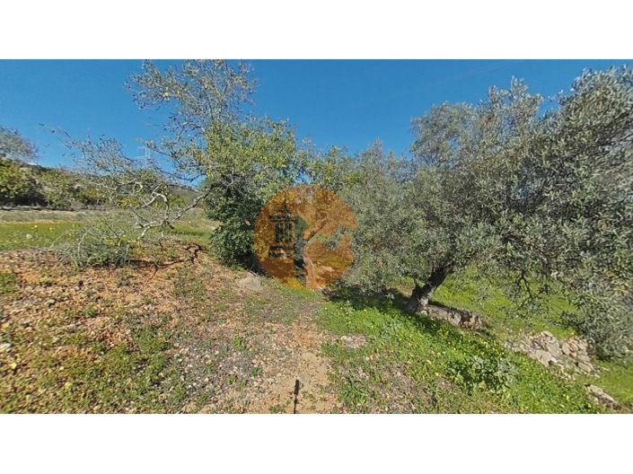 Image No.21-Plot for sale