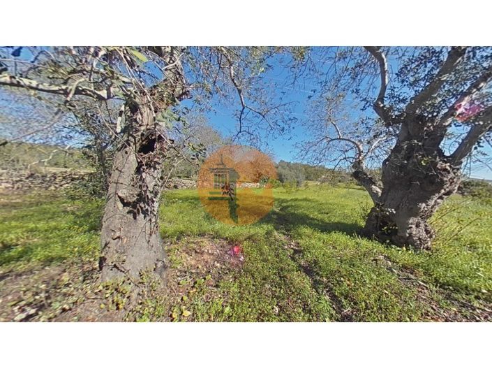 Image No.25-Plot for sale