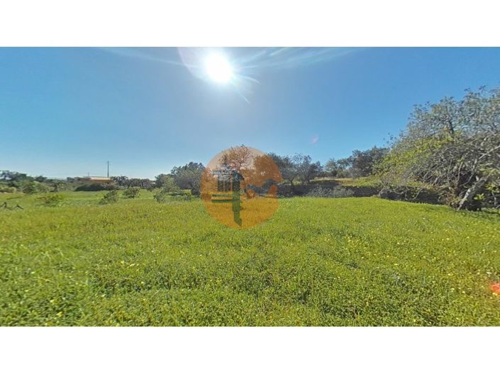 Image No.31-Plot for sale