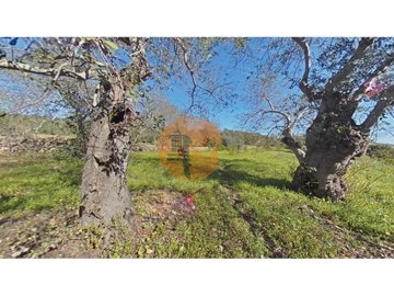 id6d9c6801-0000-0500-0000-000011148504