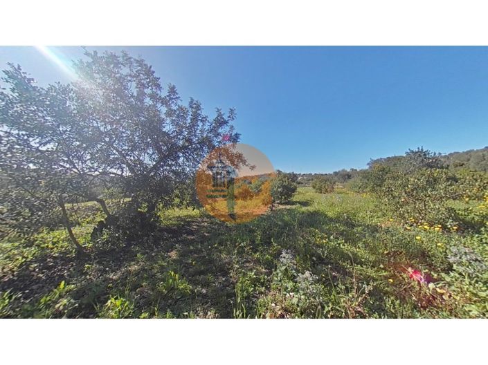 Image No.17-Terrain à vendre à Faro City