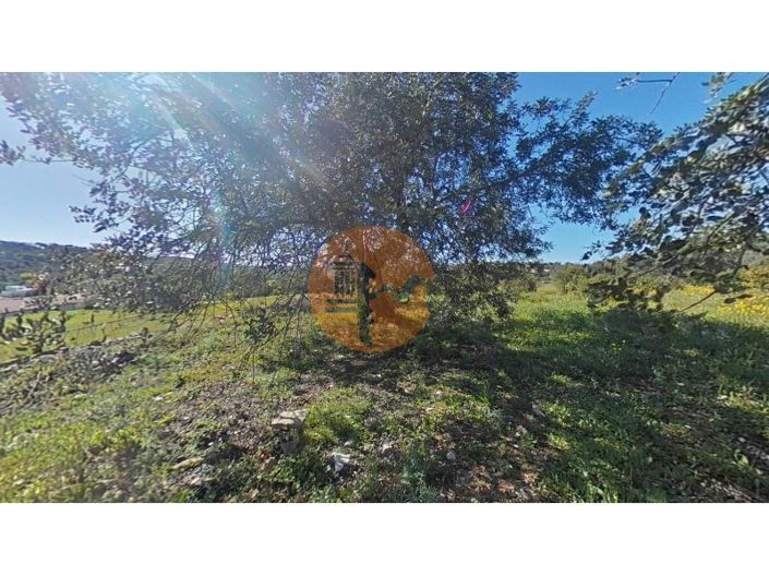 Image No.24-Terrain à vendre à Faro City