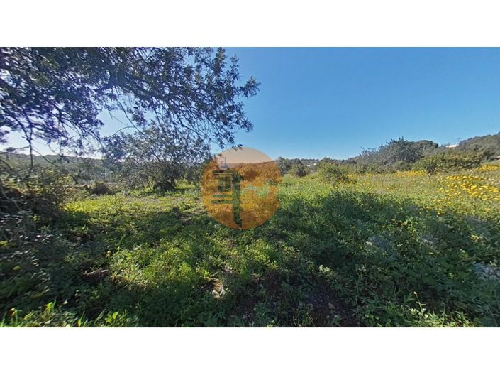 Image No.4-Terrain à vendre à Faro City