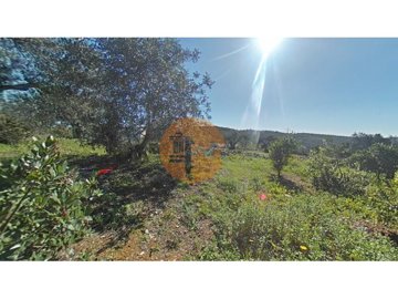 id479d6801-0000-0500-0000-000011148a4f