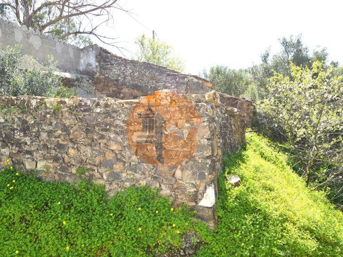Image No.3-Ferme de 3 chambres à vendre à Tavira