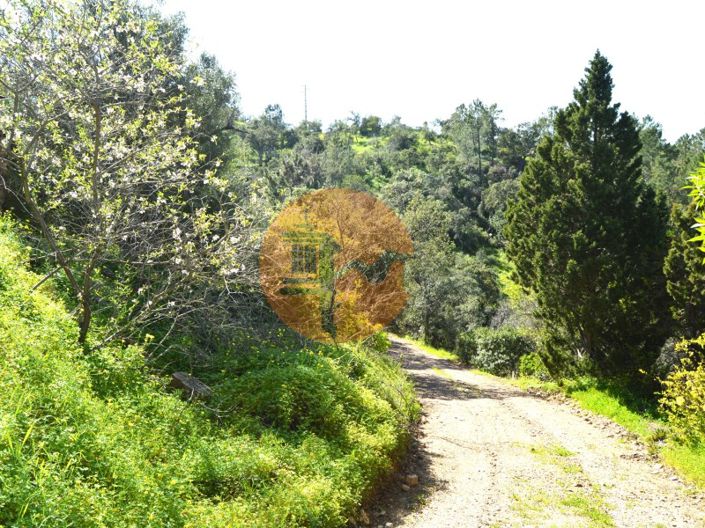Image No.5-Ferme de 3 chambres à vendre à Tavira
