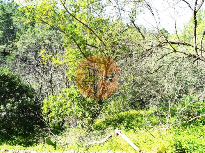 Image No.7-Ferme de 3 chambres à vendre à Tavira