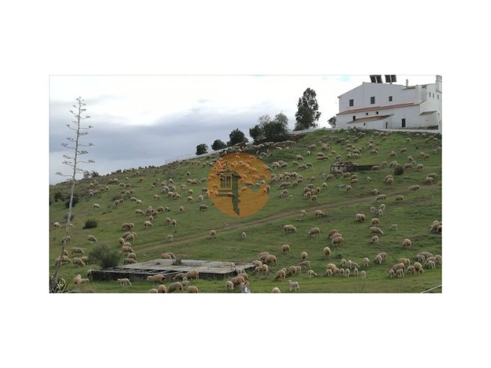 Image No.3-Maison de 2 chambres à vendre à Mértola