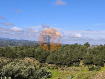 id58e58d01-0000-0500-0000-0000149f369c