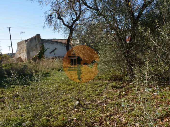 Image No.2-Terrain à vendre à Olhão