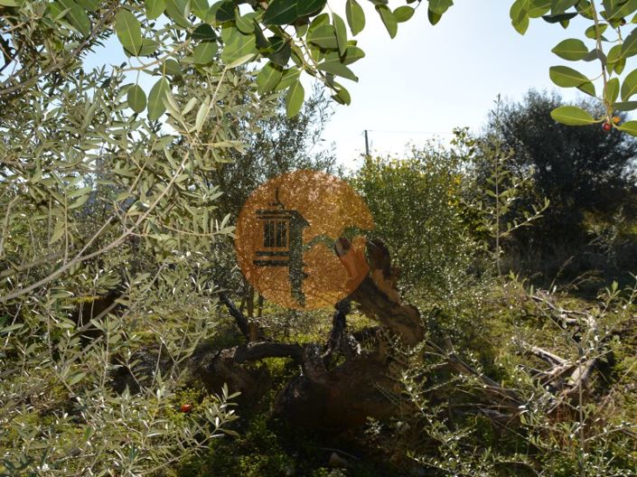 Image No.25-Terrain à vendre à Olhão