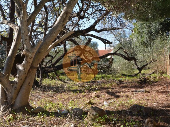 Image No.32-Terrain à vendre à Olhão