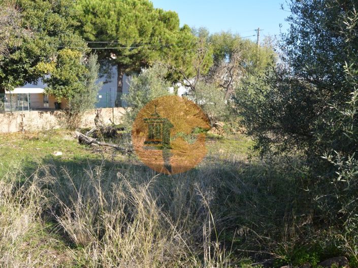 Image No.40-Terrain à vendre à Olhão