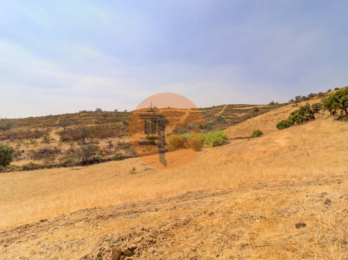 Image No.34-3 Bed Farmhouse for sale