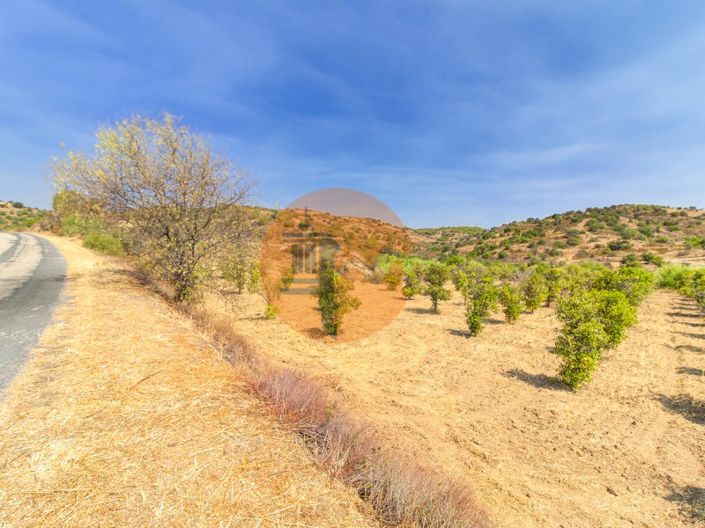 Image No.36-3 Bed Farmhouse for sale