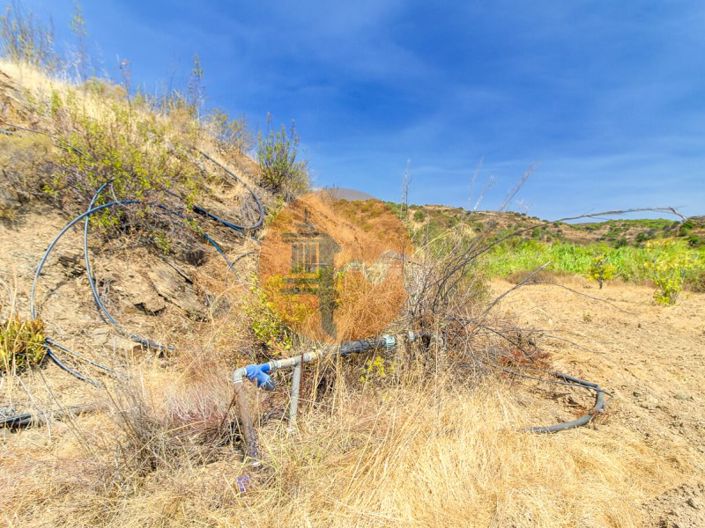 Image No.40-3 Bed Farmhouse for sale