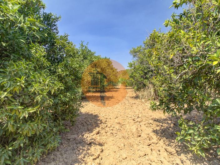 Image No.45-3 Bed Farmhouse for sale