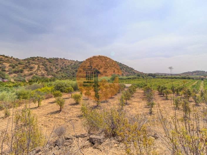 Image No.37-Plot for sale