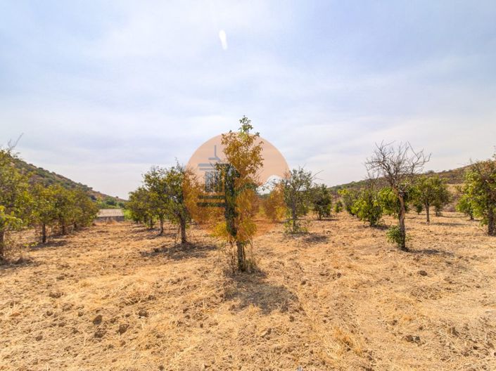 Image No.38-Plot for sale