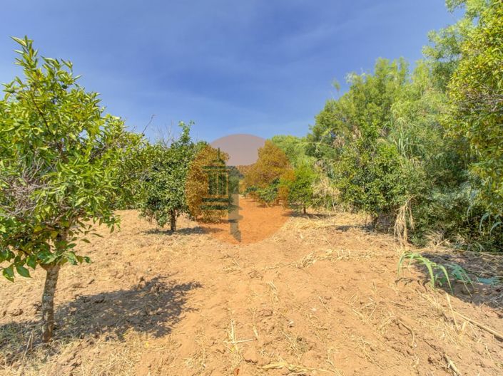 Image No.42-Plot for sale