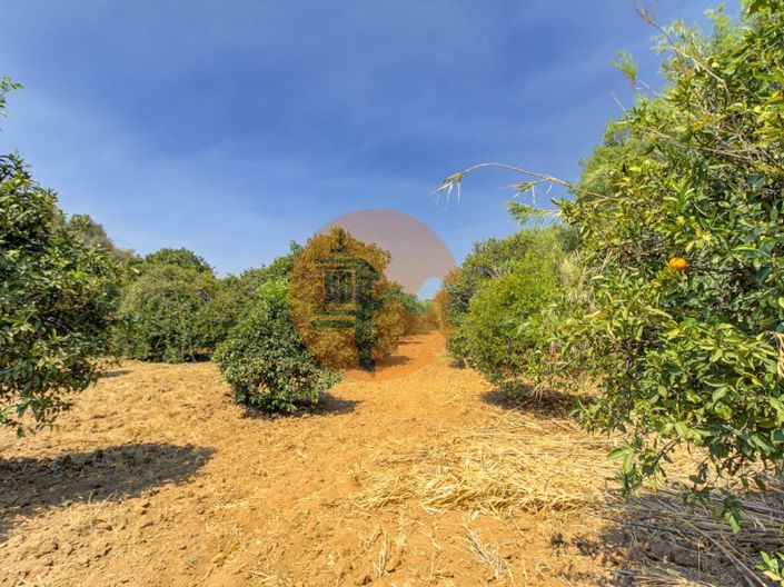 Image No.43-Plot for sale