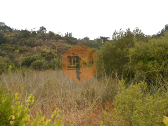 Image No.4-Plot for sale