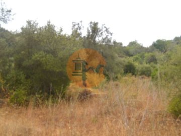 id2773b201-0000-0500-0000-0000177beebd