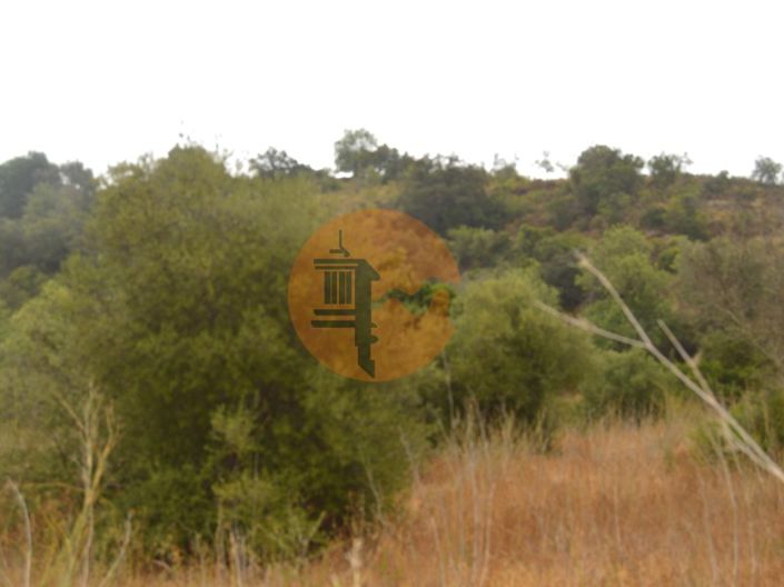 Image No.6-Plot for sale