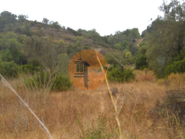 Image No.7-Plot for sale