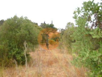 id2773b201-0000-0500-0000-0000177beec2