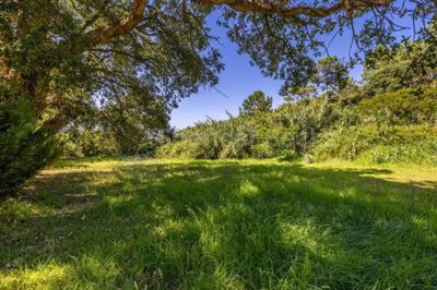 382209dc-54dd-9a6b-da4d-d226f6517587