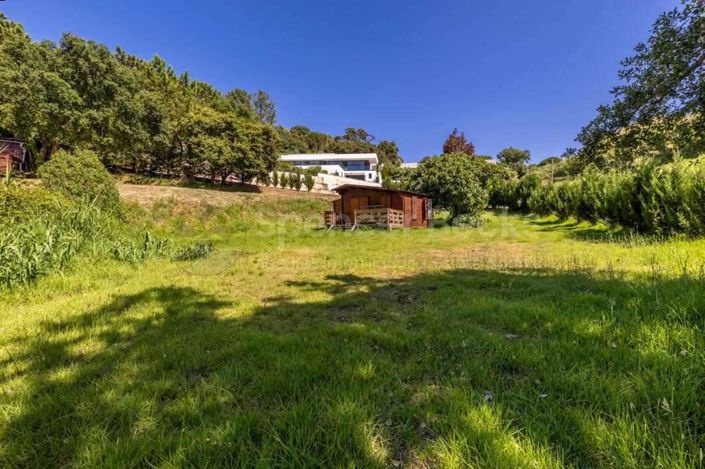 Image No.3-Terre à vendre à Alcobaça