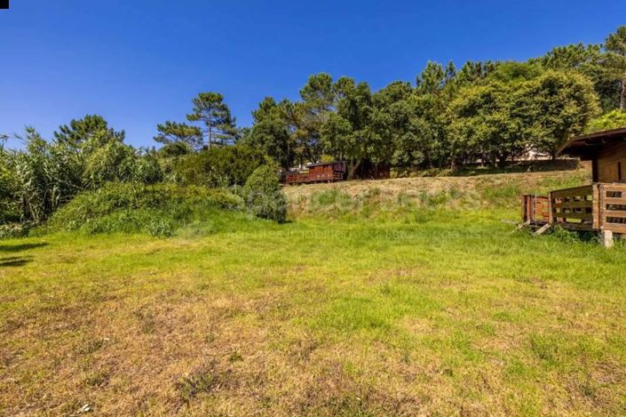 Image No.5-Terre à vendre à Alcobaça