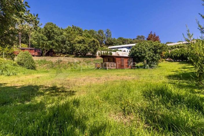 Image No.6-Terre à vendre à Alcobaça