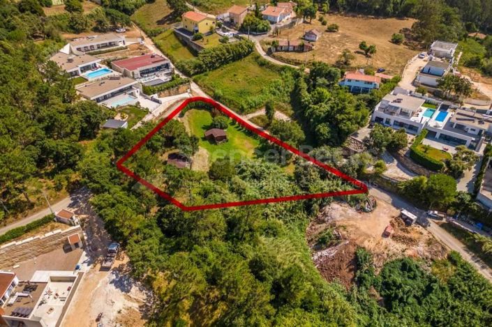 Image No.9-Terre à vendre à Alcobaça